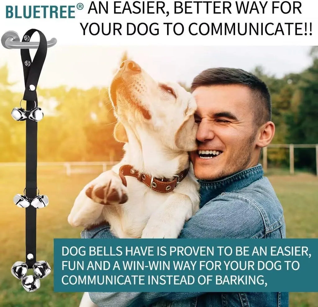 Dog training doorbell with several silver metal bells hanging from an adjustable nylon leash.
