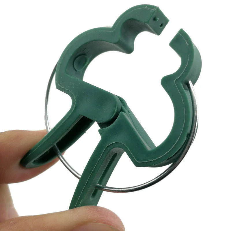 Green plastic and zinc plant fixing clips for supporting climbing tomato and cucumber vines.