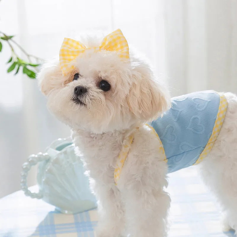 Small dog wearing a blue heart-texture vest with bow suspenders and a matching hairband.