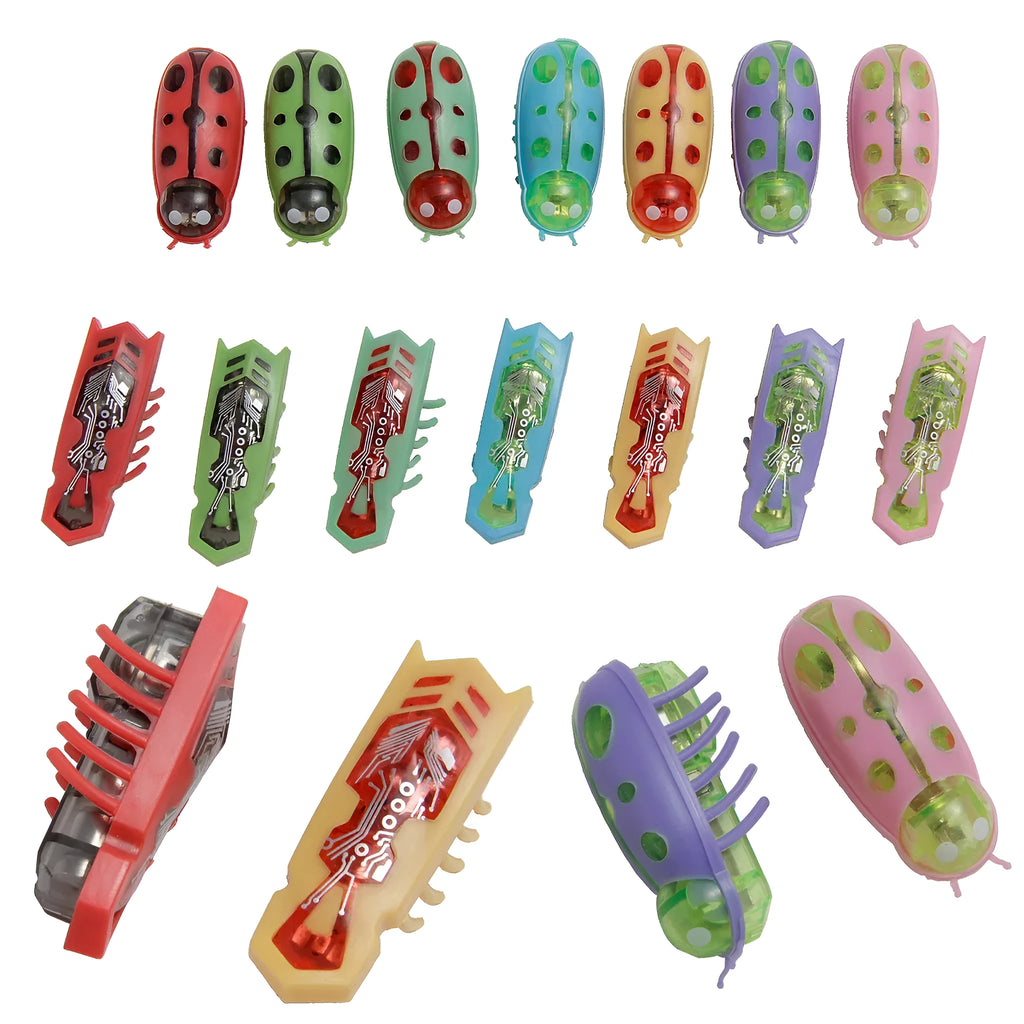 Small motorised insect pet toy in red ladybird design on wooden floor