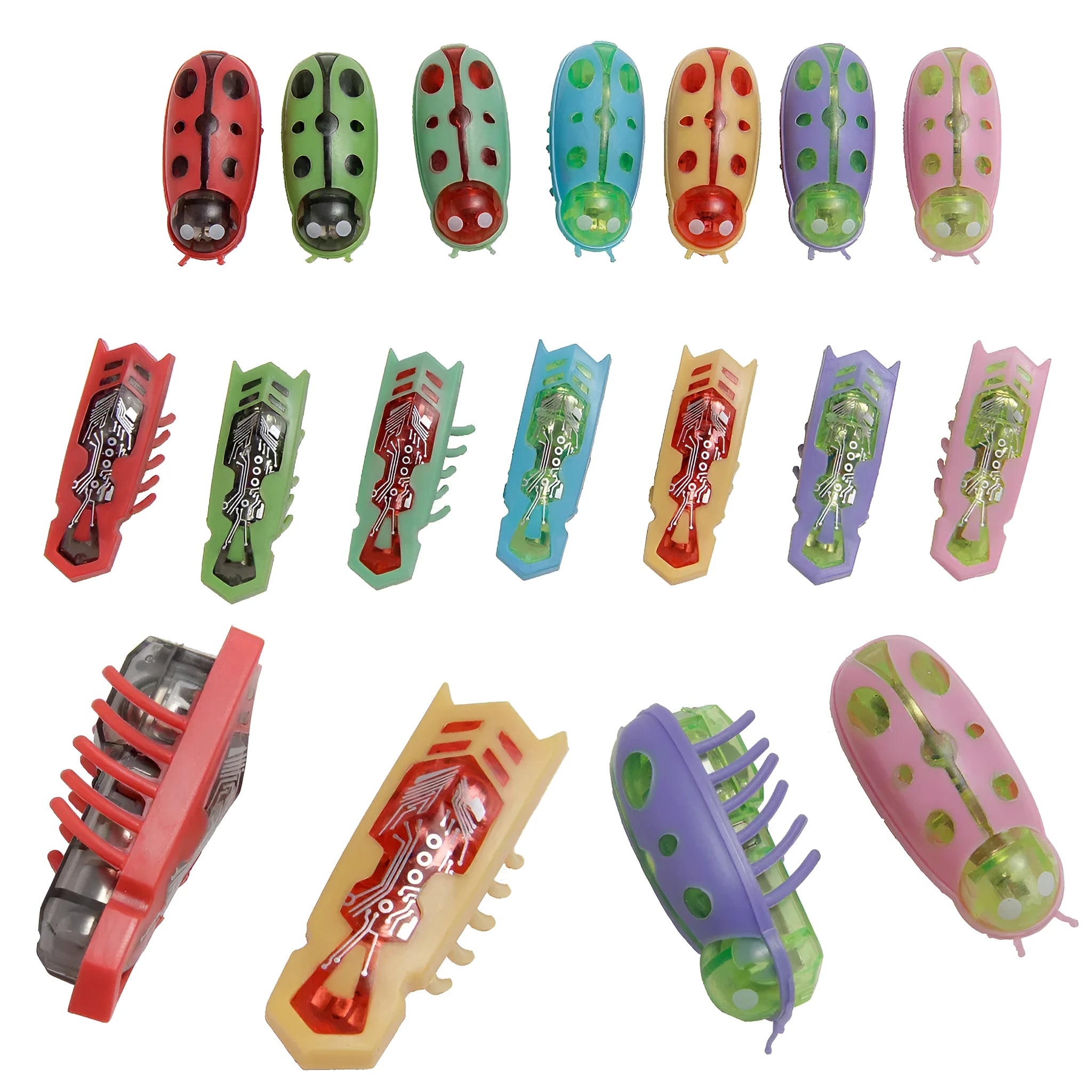 Small motorised insect pet toy in red ladybird design on wooden floor