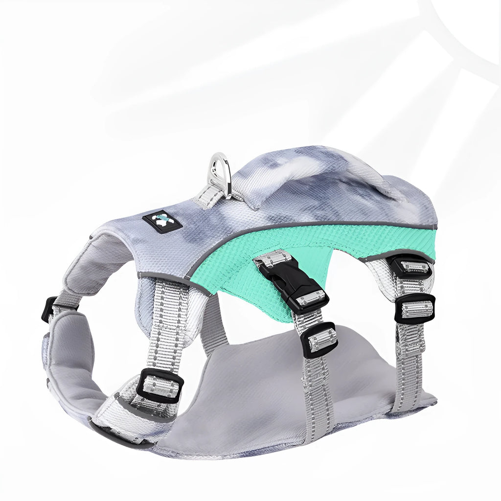 Reflective adjustable dog harness in light blue colour with chest strap design