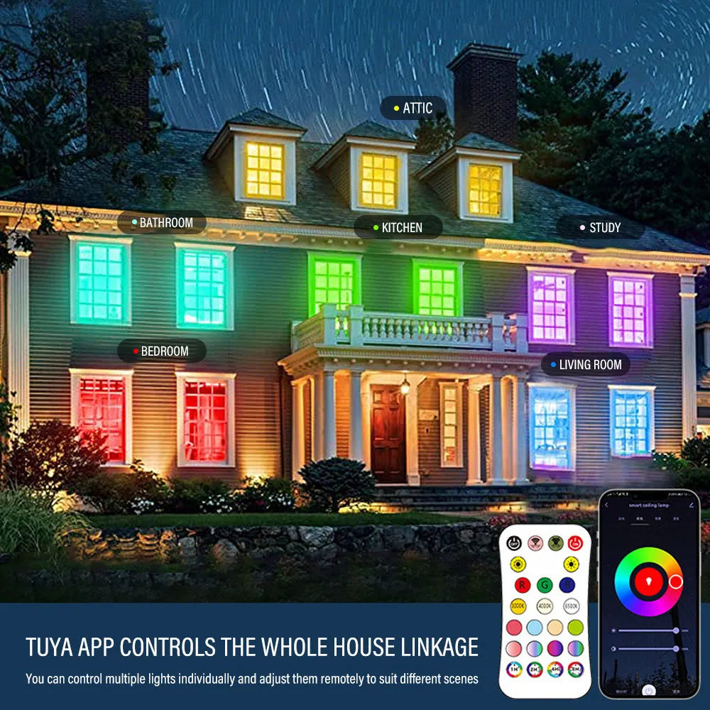 RGBCW intelligent Bluetooth ceiling lamp with full colour dimming and temperature control in black or white finish