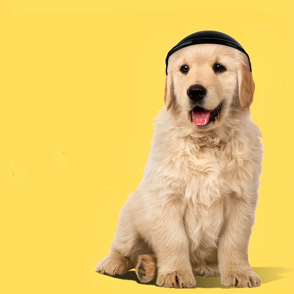 Small S size plastic pet motorcycle helmet in pink, black, yellow, or green monochrome colour.