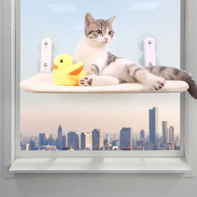 Universal foldable cat hammock seat with stainless steel suction cups mounted on a window