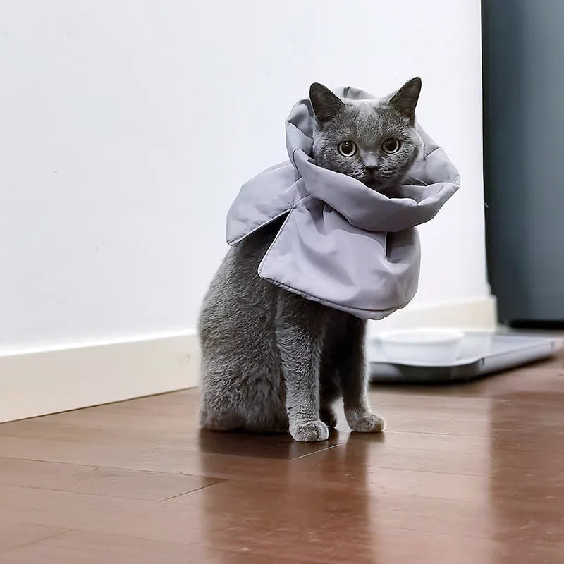 Soft blue adjustable cat recovery collar cone on a grey background