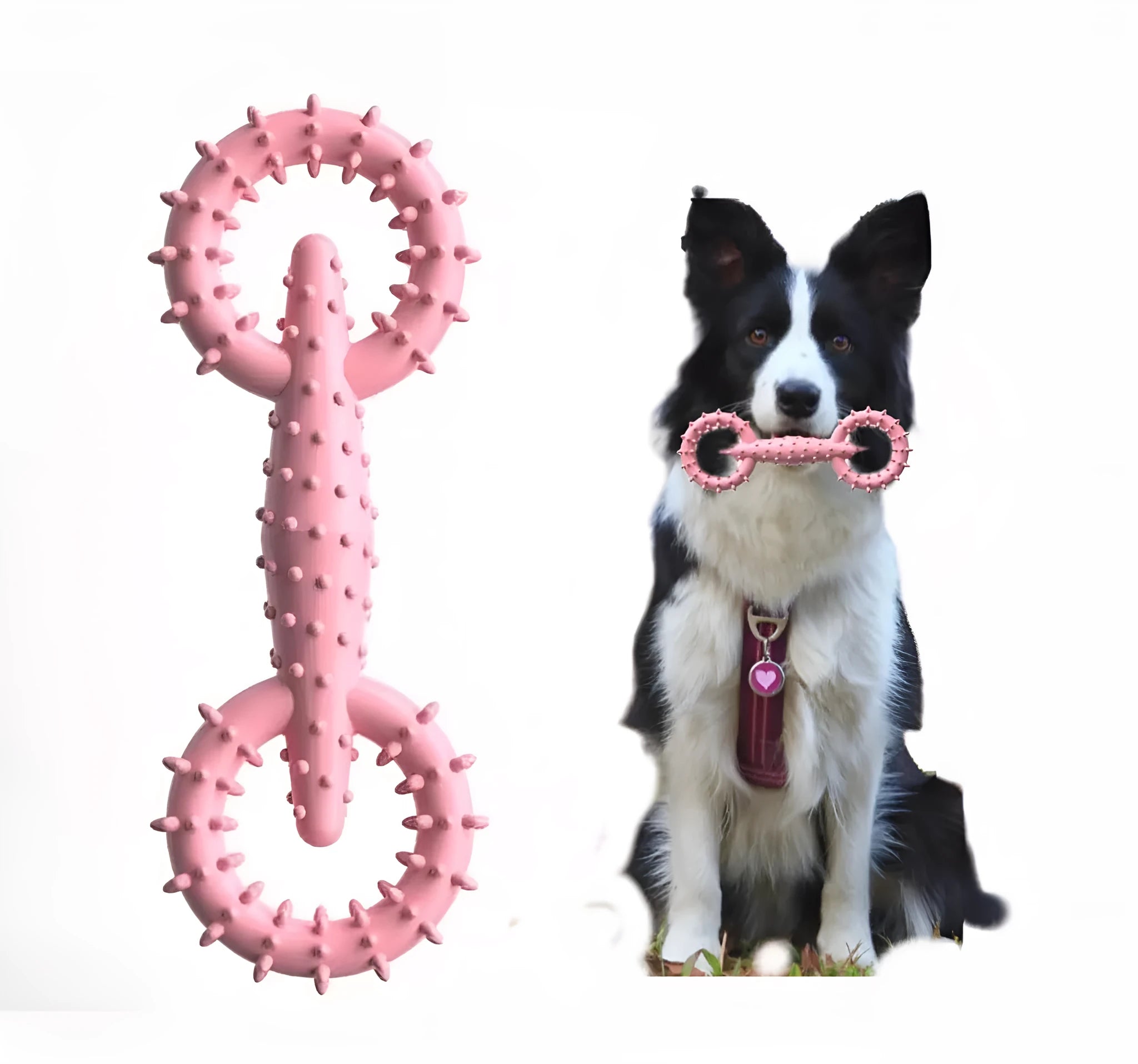 Blue TPR dog chew toy ring with board-like surface for safe canine chewing