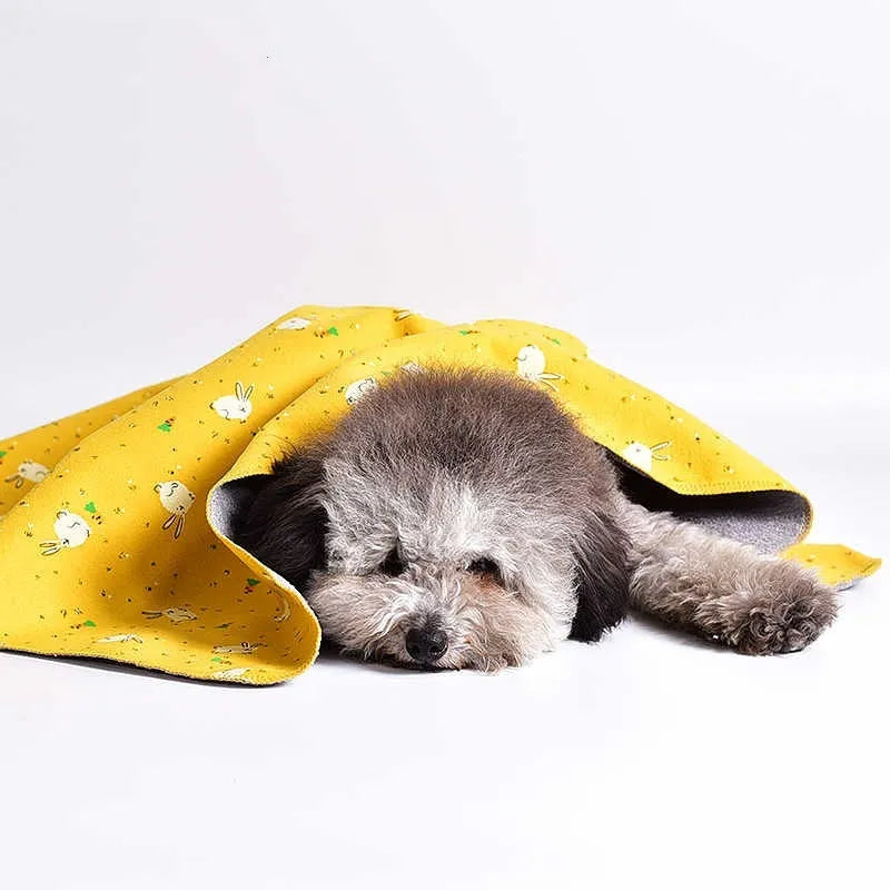 Double-sided cotton wool pet blanket with cartoon dinosaur print lying flat