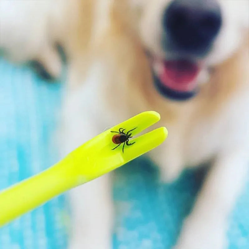Set of three blue plastic tick removal hooks for pets on a white background.