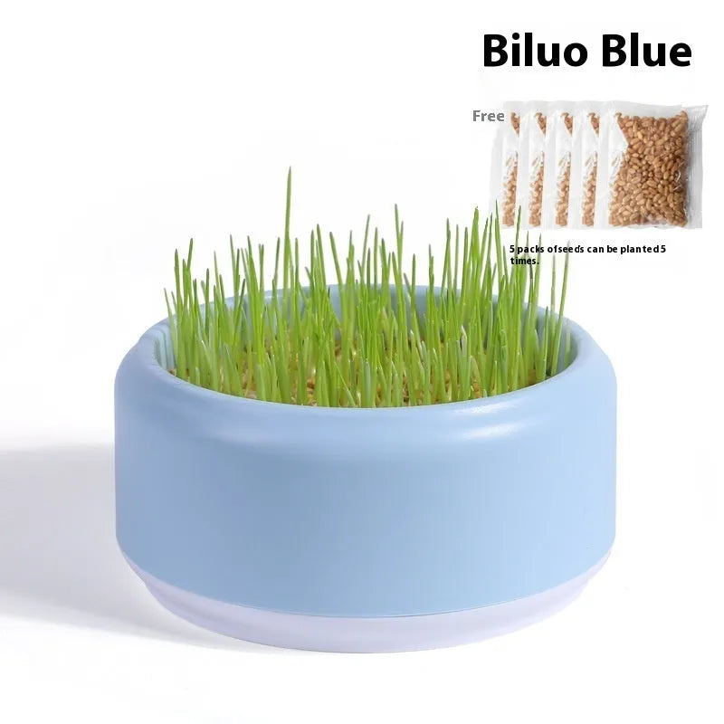 Hydroponic cat grass kit with cultivation cup and seed packs in blue, green, and yellow options
