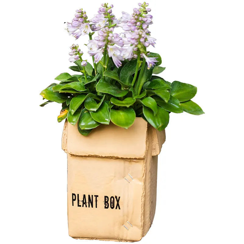 Cement flowerpot with brown paper box texture and bottom drainage holes on a floor.