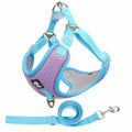 Adjustable dog harness with breathable mesh fabric and reflective piping in multiple colour options