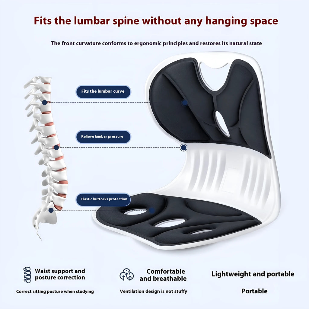 Japanese-style waist support seat cushion with lumbar pillow in gray or black colour options