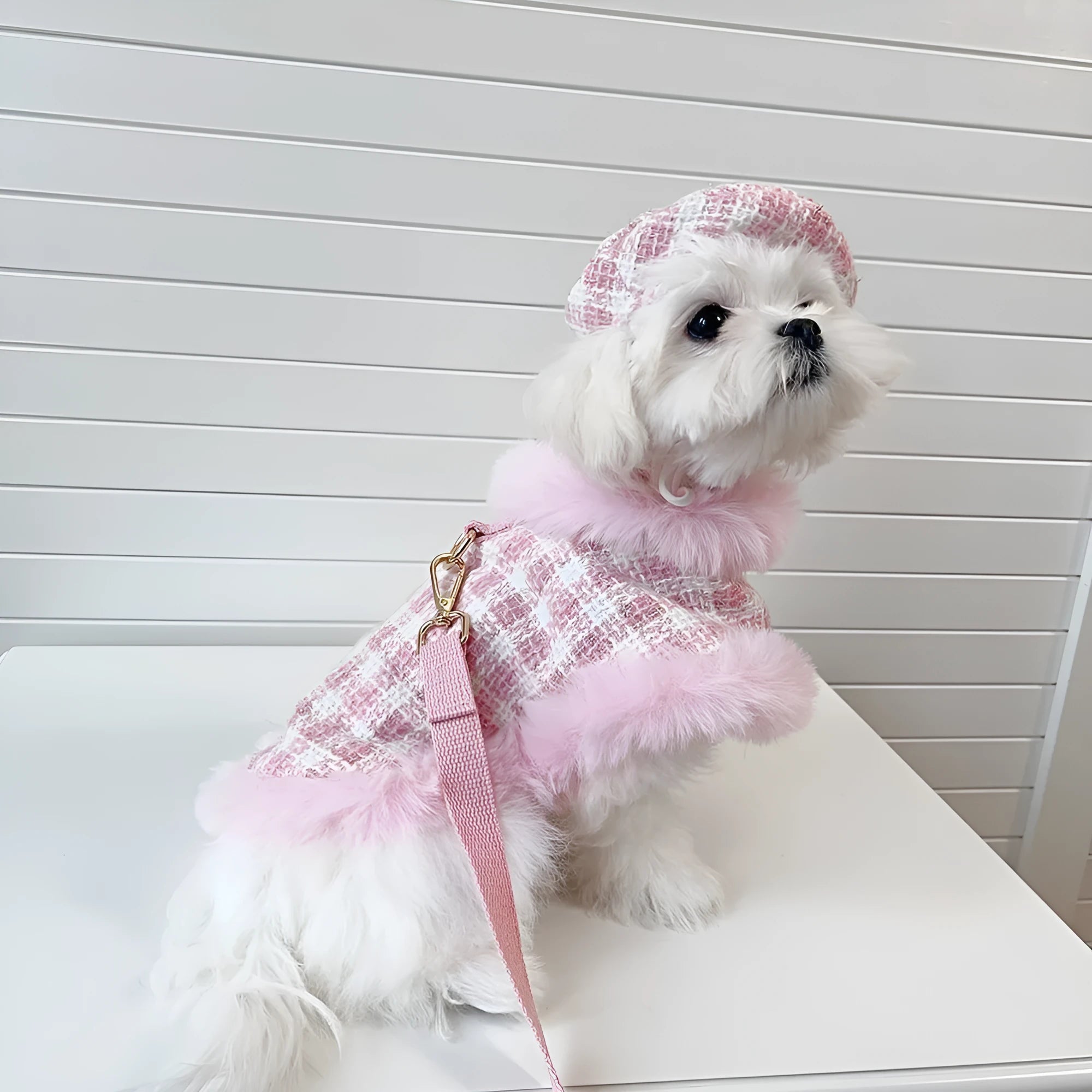 Pink cat costume with beret and cloak including hand-held control rope for pet dress-up