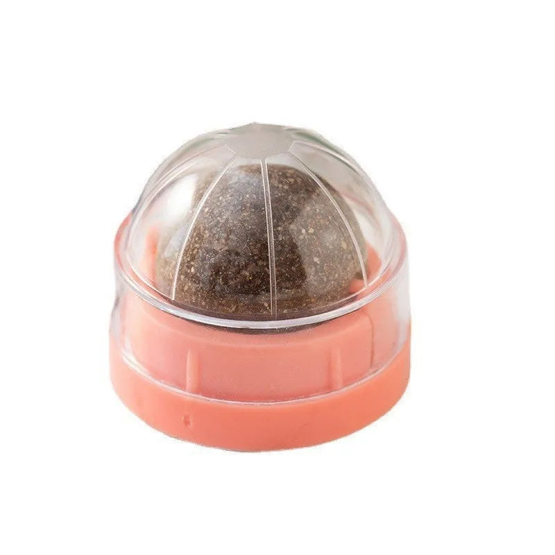 Colourful plastic cat toy with textured teeth cleaning surface in avocado bug baby fruit flavour