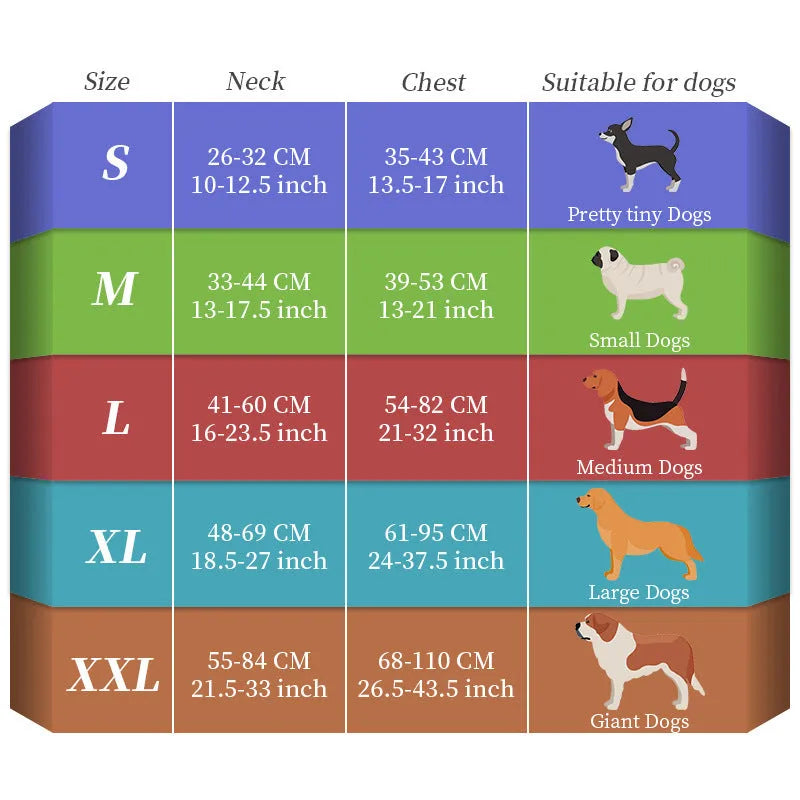 Seven-colour luminous nylon dog lead with USB charging cable for small to large breeds