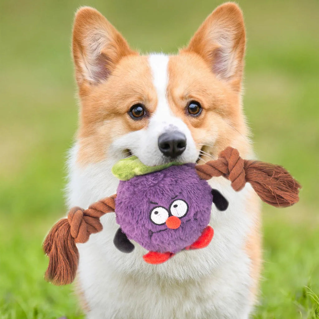 Green and purple interactive plush rope knot dog toy with molar tooth texture for tug of war and chewing.