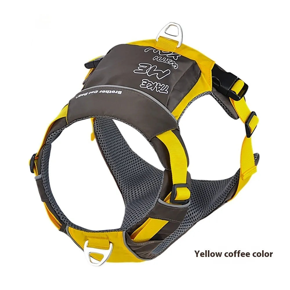 Orange and blue nylon dog chest strap vest lead shown on a dog.