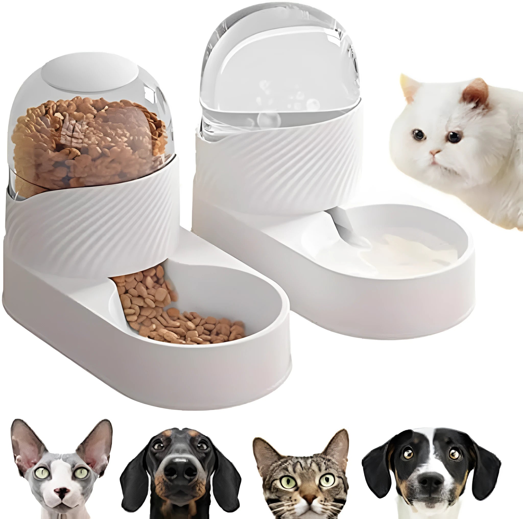 White automatic gravity cat feeder and water dispenser set with wave design shell.