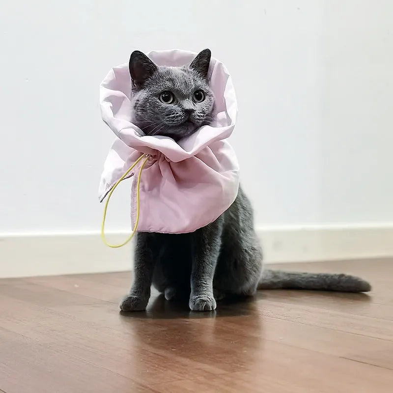 Soft blue adjustable cat recovery collar cone on a grey background