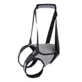 Grey neoprene dog hind leg recovery belt shown with sizing chart for waist and thigh measurements
