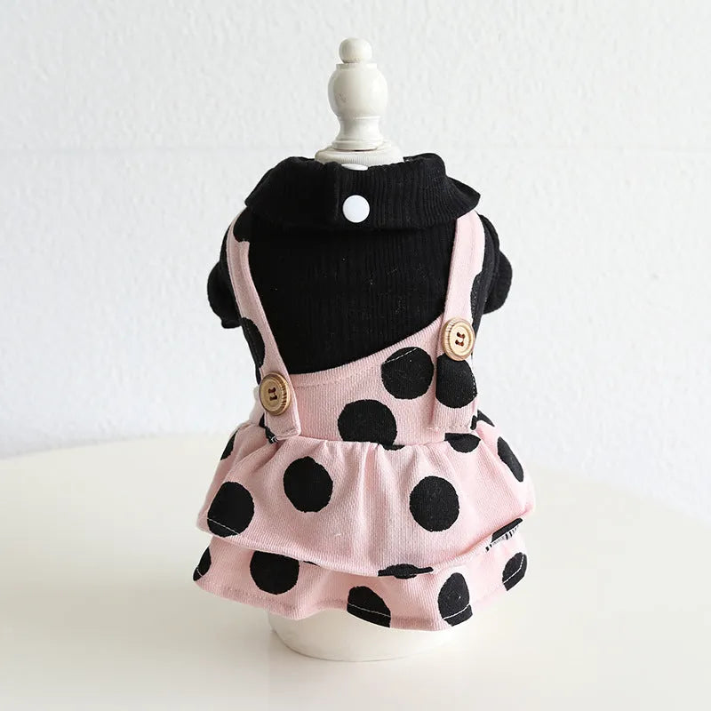 Dog wearing couple clothes with lapel and shoulder strap design in casual cloth style