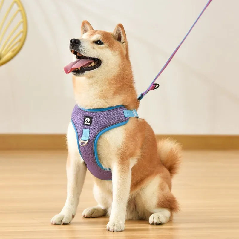 Adjustable dog harness with breathable mesh fabric and reflective piping in multiple colour options