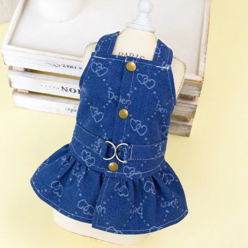 Teddy Bichon small dog wearing denim princess dress with bracket skirt style in HNXD colour