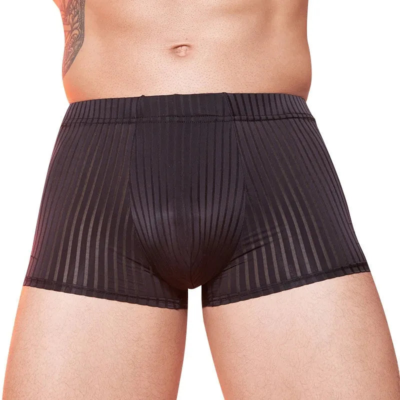 Men's striped transparent underwear in black, dark grey and white colours