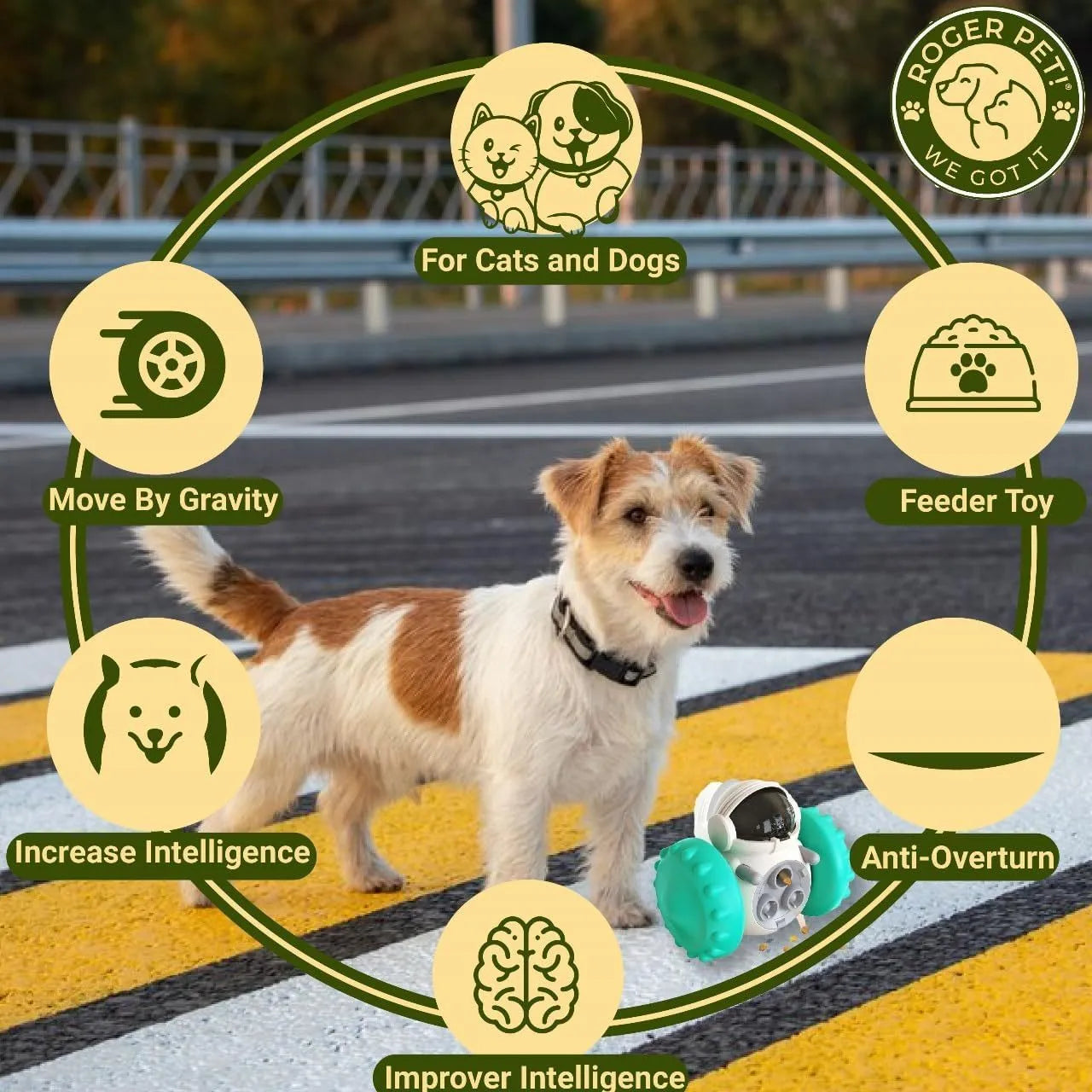 Robot-shaped tumbler pet treat dispenser toy in assorted colours for small dogs and cats