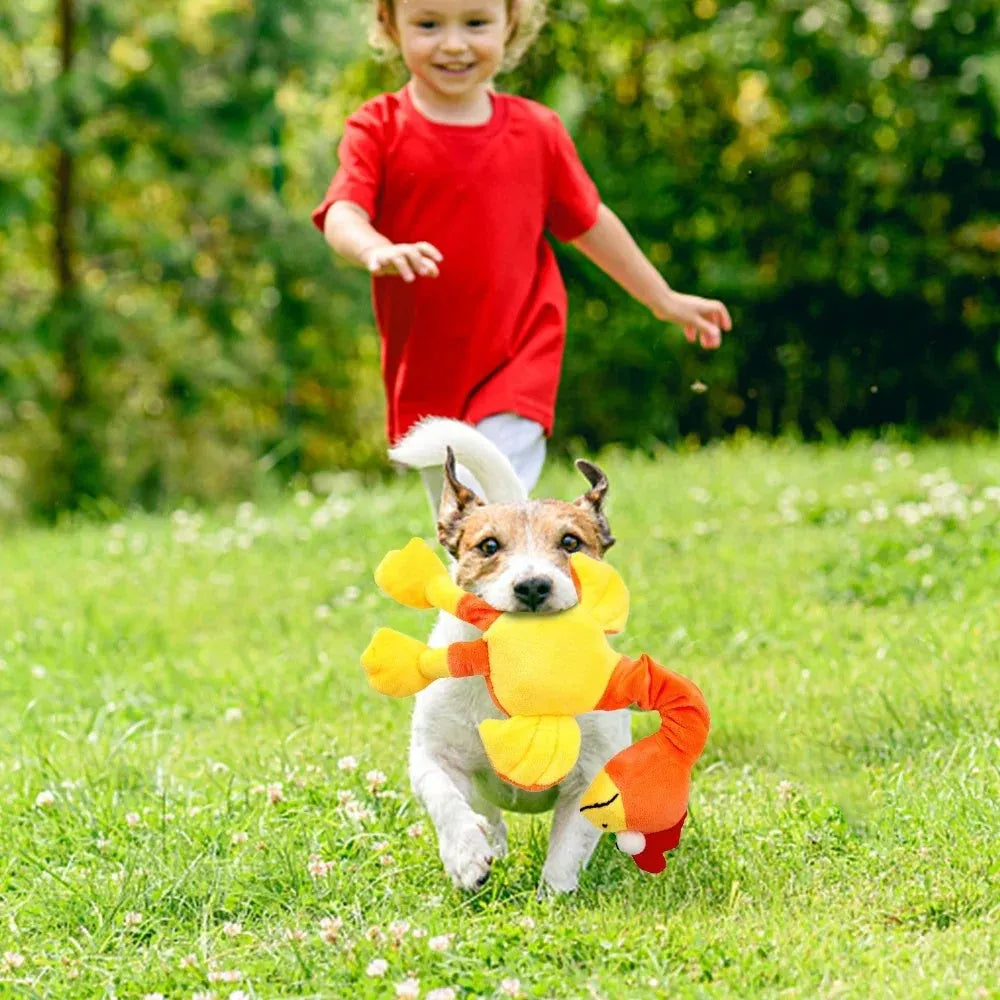 Black screaming chicken sound dog toy with bite-resistant chew texture next to green and orange versions.