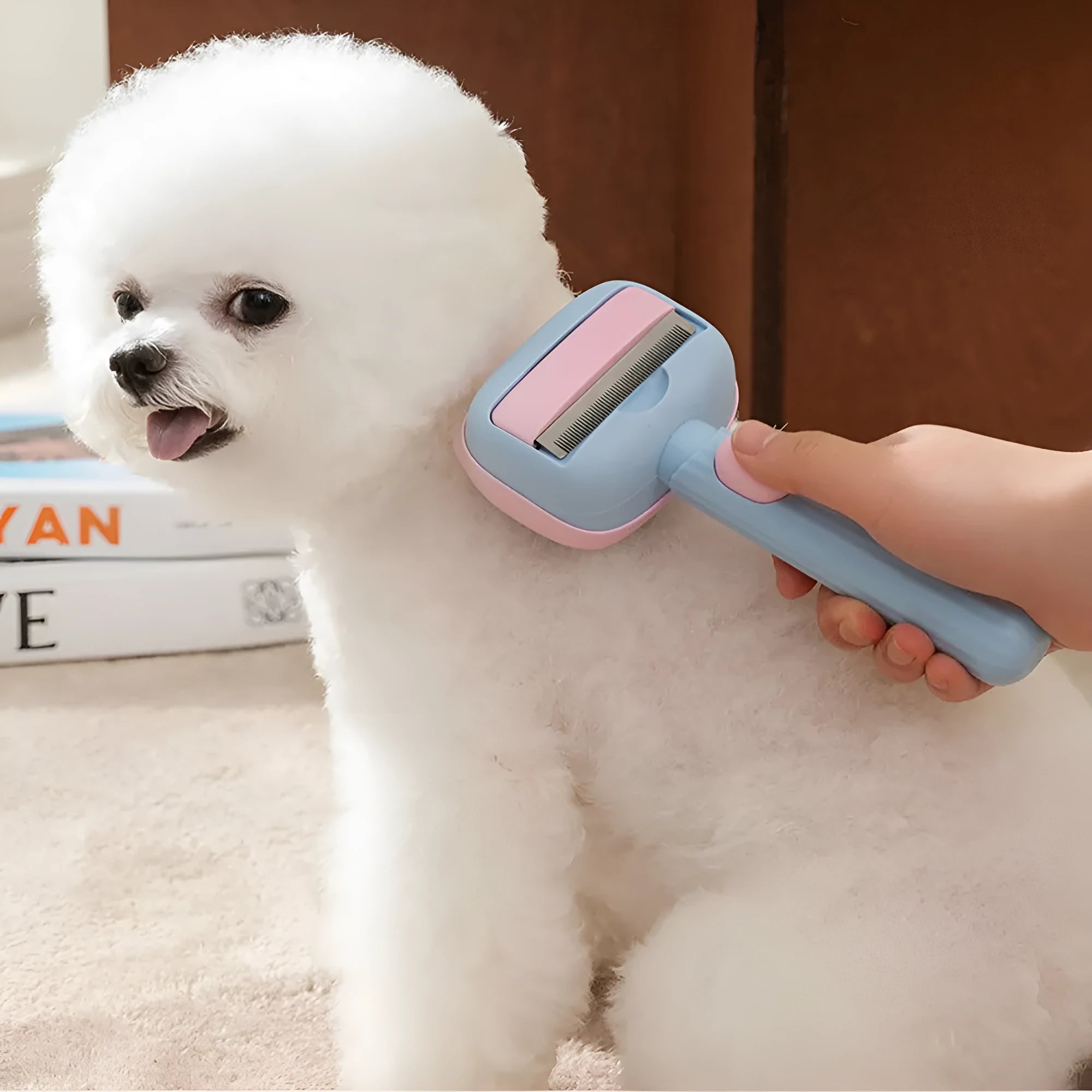 Blue double-sided pet grooming brush with deshedding and dematting functions for cats and dogs