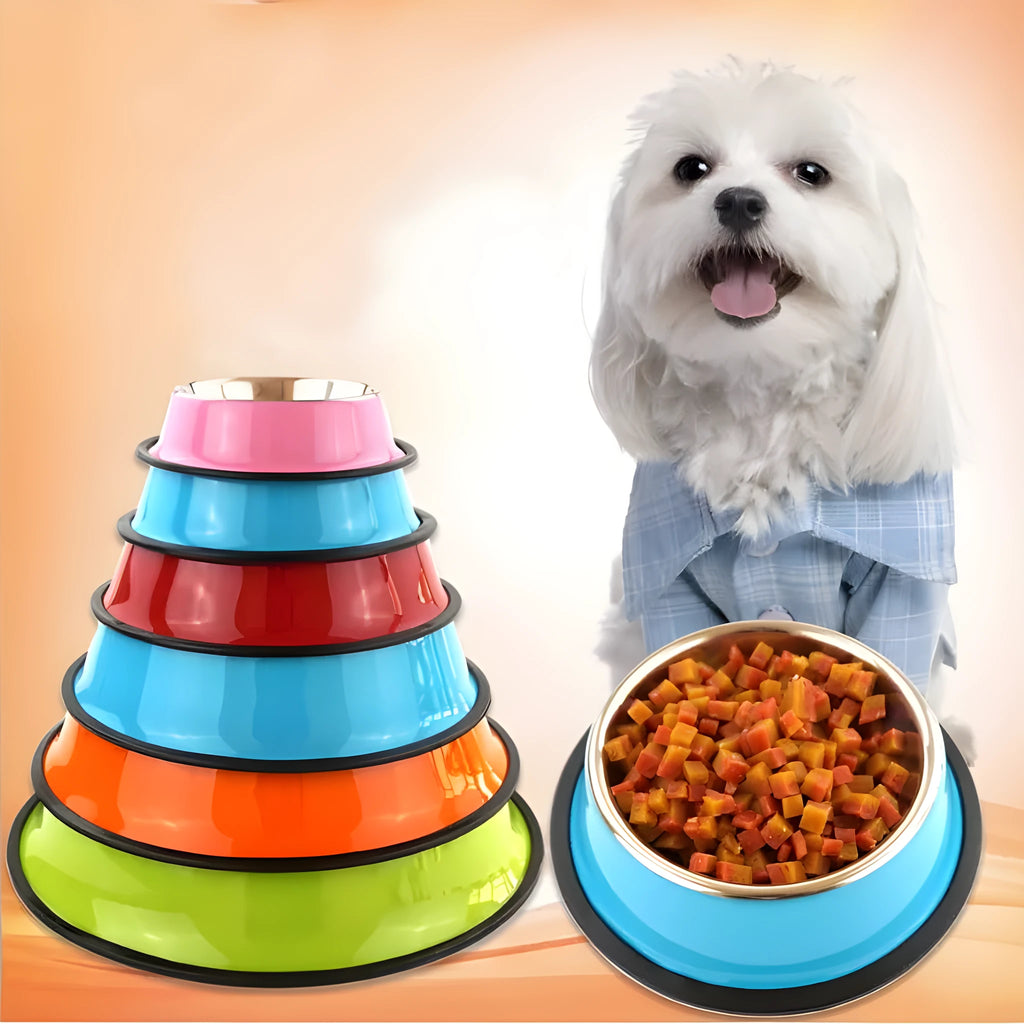 Stainless steel pet bowl with colourful melamine exterior and non-slip rubber base in multiple size options