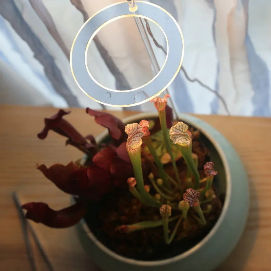 USB powered LED plant grow light with full spectrum LEDs and acrylic mounting stick.