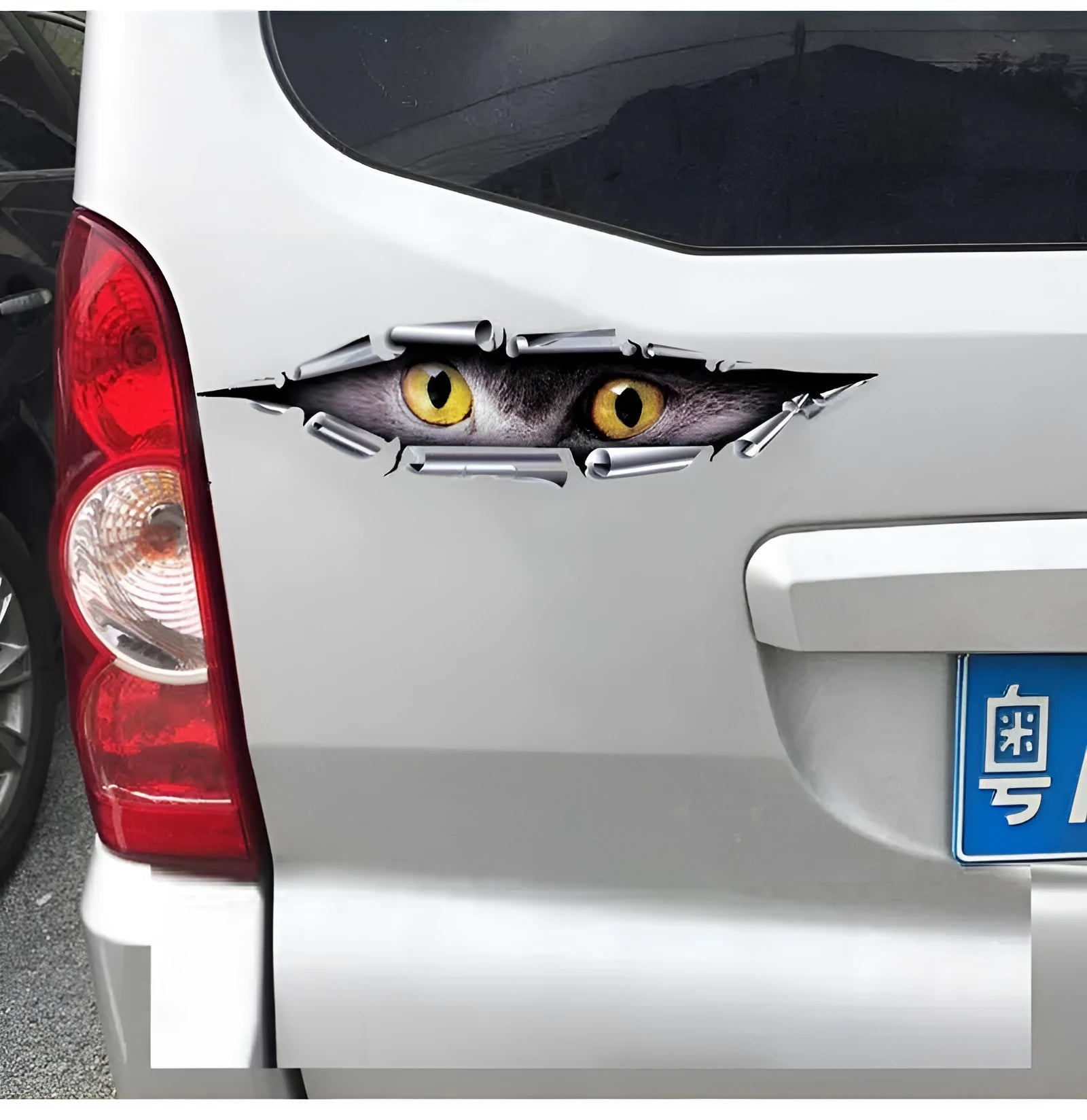 3D Tiger Eye and Eagle Eye pattern car bumper stickers on transparent PVC material