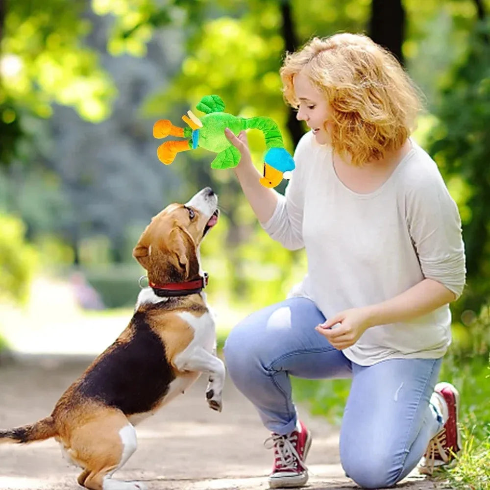 Black screaming chicken sound dog toy with bite-resistant chew texture next to green and orange versions.