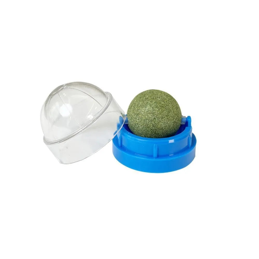 Colourful plastic cat toy with textured teeth cleaning surface in avocado bug baby fruit flavour