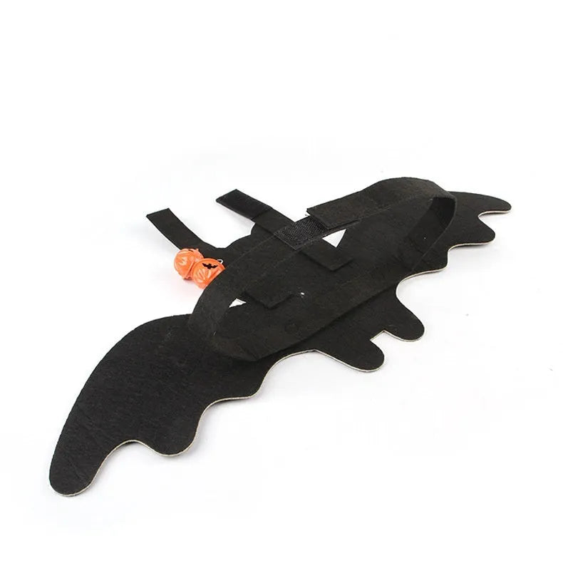 Black cat wearing an orange felt batwing Halloween costume with bell.
