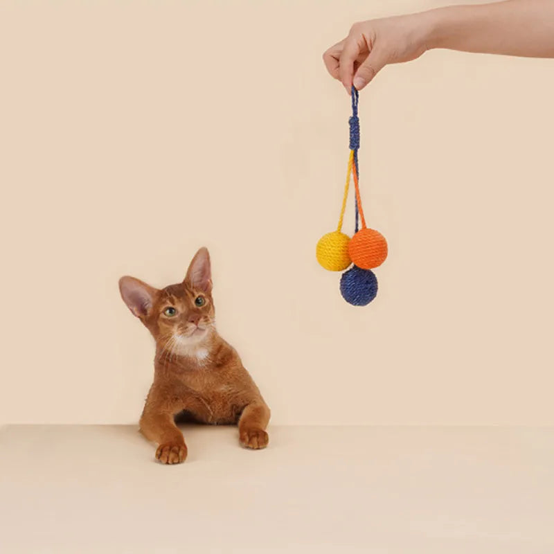 Four-piece cat toy set showing 255mm teaser wand with string, catnip ball, self-play wire, and fabric element in assorted colours