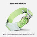 Cartoon gradient printing dog collar in nylon with adjustable sizing for dogs 2-10kg