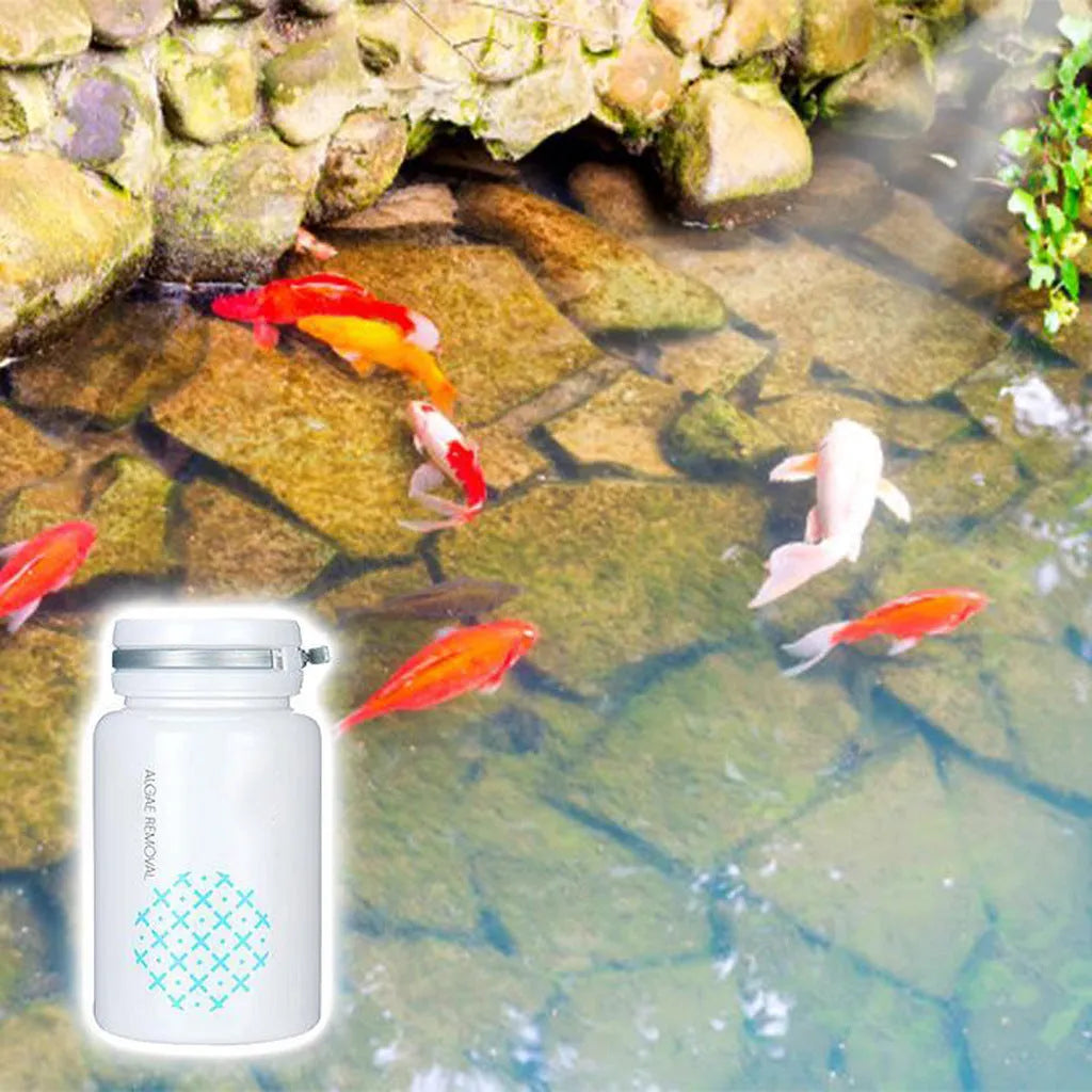 50g swimming pool algaecide container for algae removal and water purification