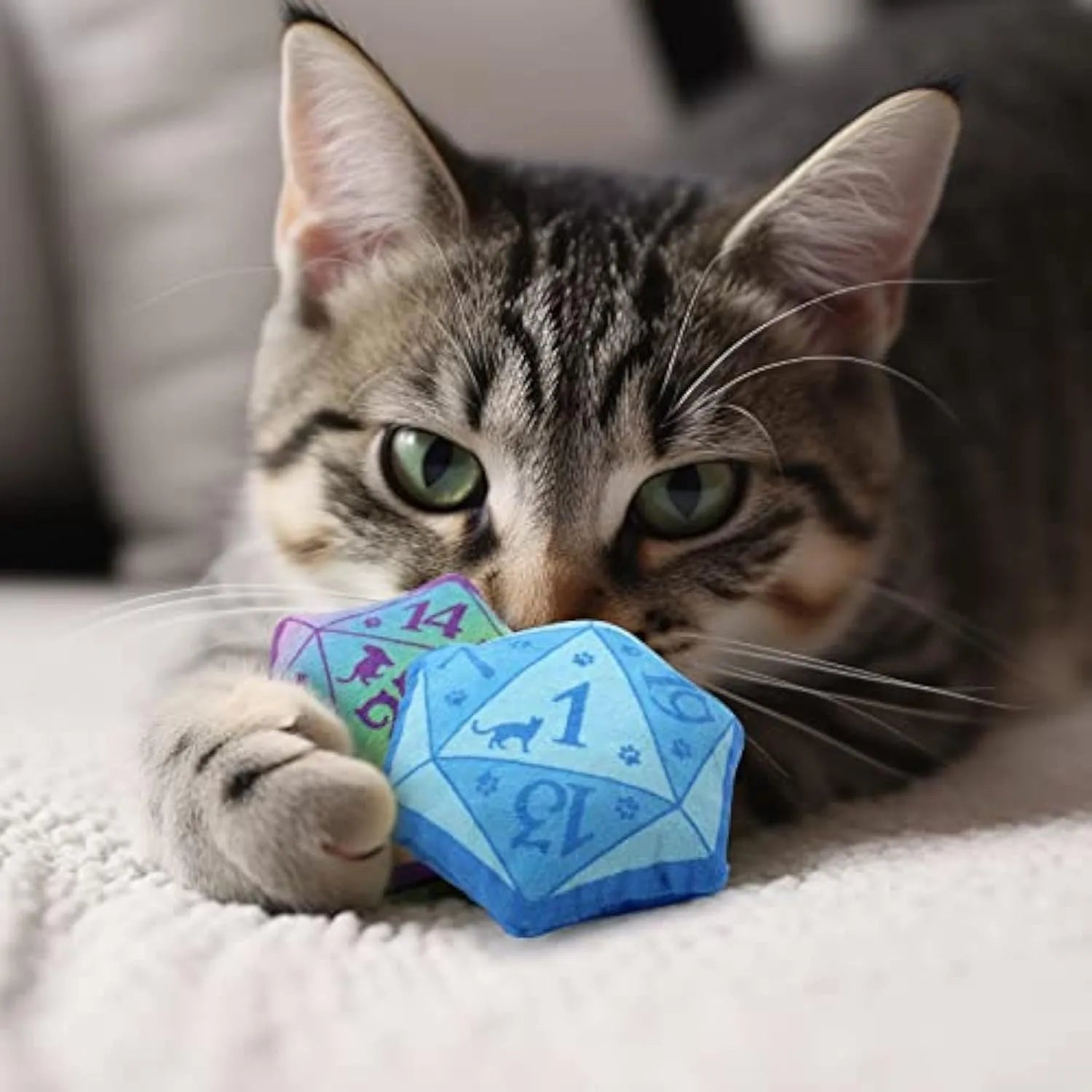 Soft plush DND dice cat toy with organic catnip filling in multiple colour options