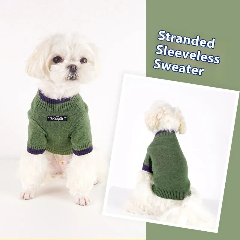 British style wool pet sweater with two-leg design in crown blue colour on a dog