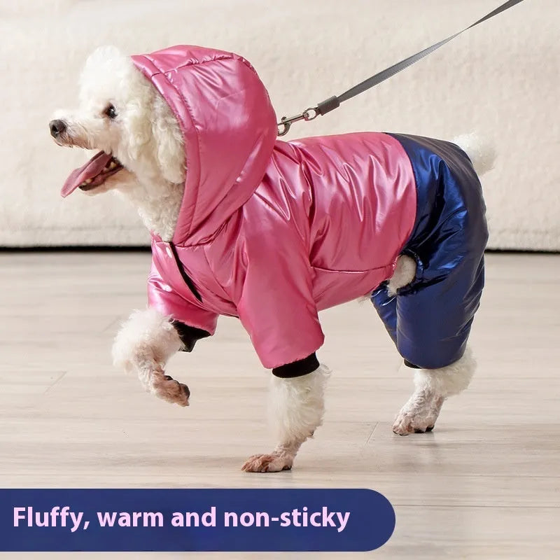 Green waterproof dog coat with cotton padding shown on a dog