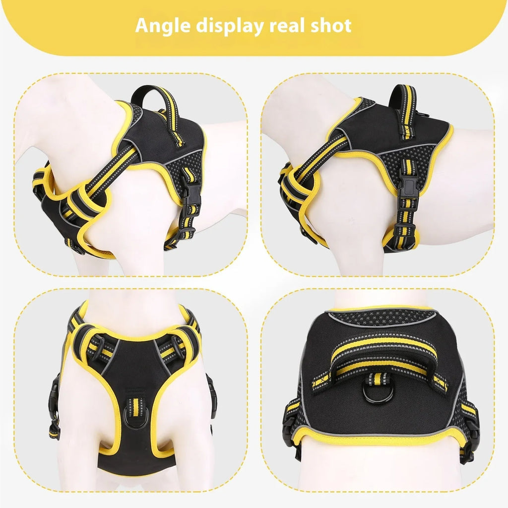 Orange polyester dog harness and lead set for medium-sized dogs during outdoor walk.
