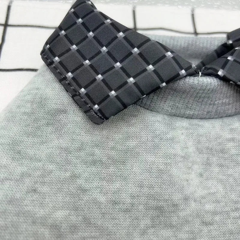 Grey dog wearing fake two-piece velvet sweater with detachable collar hoodie