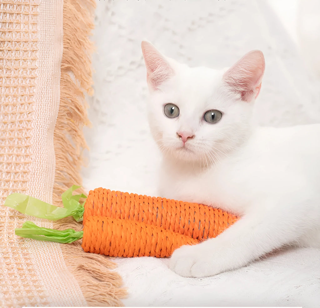 Assortment of colourful interactive cat toys including plastic carrots, ringing stones, fabric sticks, paper toys, and chewing sticks.
