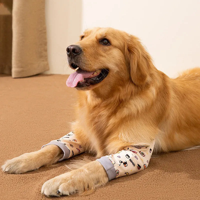 Adjustable dog knee protector with extra-thick elbow padding and coordinating scarf in blue colour