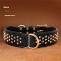 Leather dog collar in chocolate colour with metal rivets and adjustable fastener.
