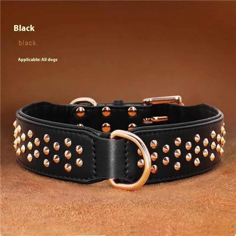 Leather dog collar in chocolate colour with metal rivets and adjustable fastener.